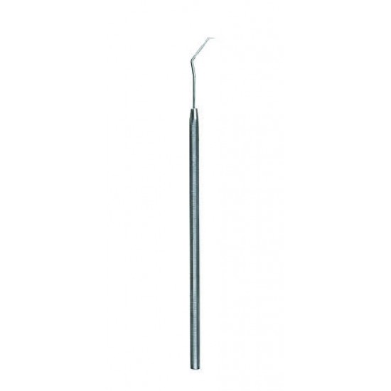 Probe 
