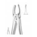Extracting Forceps, American Pattern